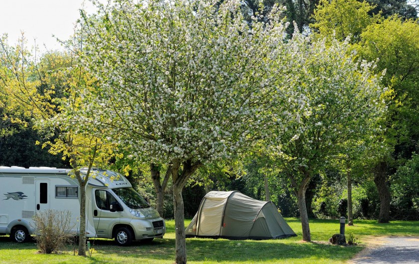 Location de vacances - Camping à Sarzeau