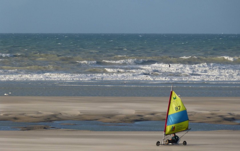 Location de vacances - Appartement à Hardelot-Plage - char à voile