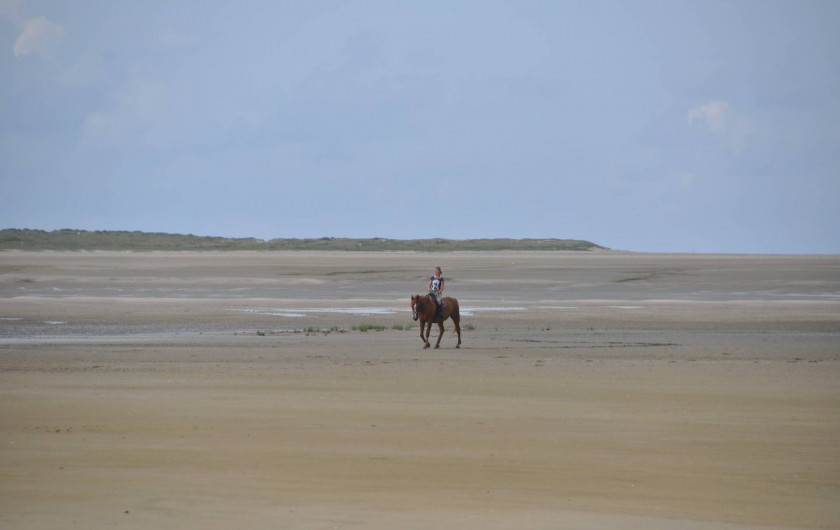 Location de vacances - Appartement à Hardelot-Plage