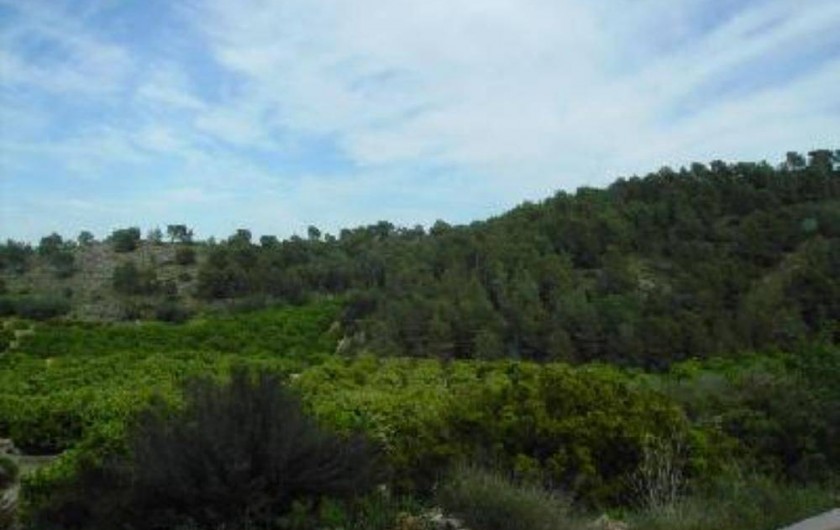 Location de vacances - Appartement à Carcaixent - Vue balcon 2