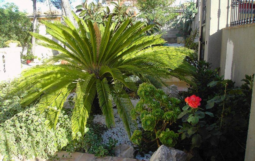 Location de vacances - Appartement à Carcaixent - Entrée