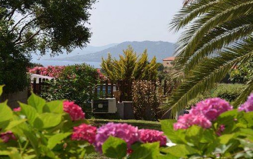 Location de vacances - Appartement à Propriano