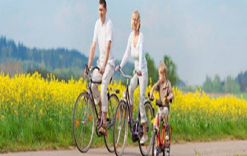 Location de vacances - Gîte à Marmande