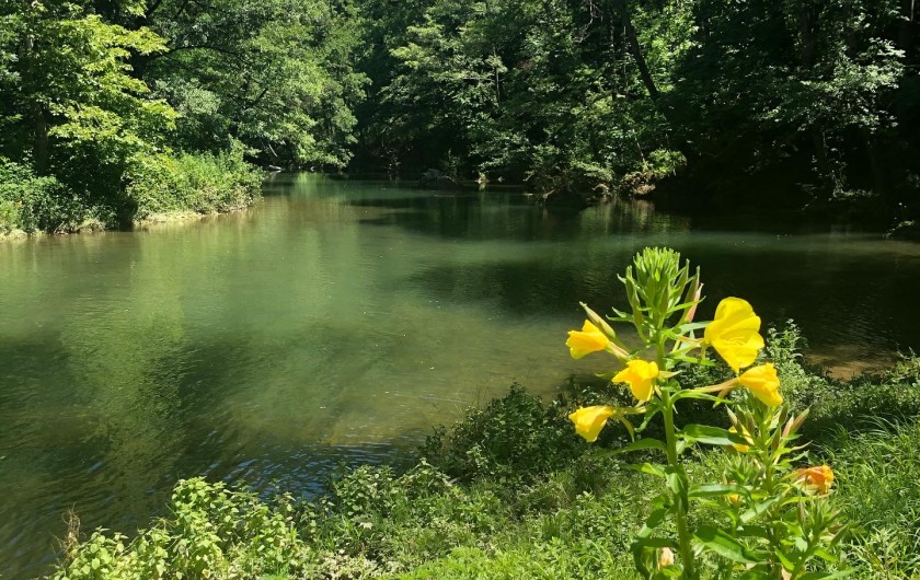Location de vacances - Gîte à Branoux-les-Taillades - Le Gardon au bord de la propriété pour pêcher et se baigner