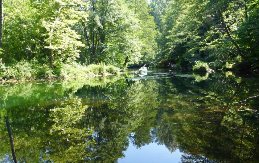 Location de vacances - Gîte à Branoux-les-Taillades - Le Gardon à bord du parc du Château ou vous pouvez pecher et se baigner