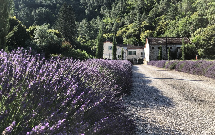Location de vacances - Gîte à Branoux-les-Taillades