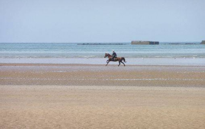 Location de vacances - Maison - Villa à Asnelles