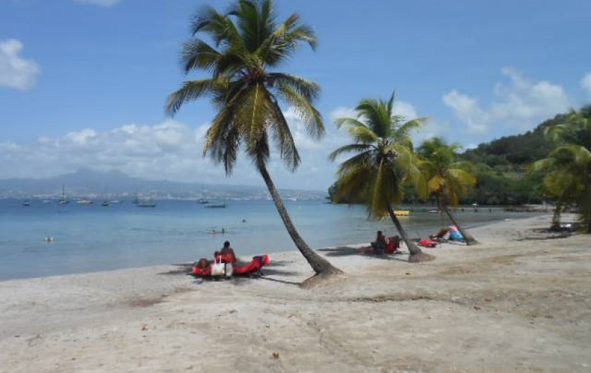 Location de vacances - Appartement à Les Trois-Îlets - Plage de l'Anse à l’Âne