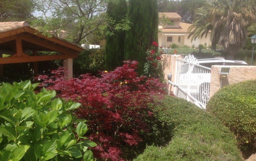 Location de vacances - Villa à Saint-Raphaël - jardin