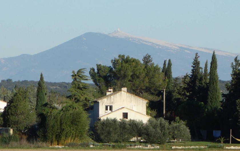 Location de vacances - Chambre d'hôtes à Saint-Geniès-de-Comolas - Le Mas d'Acanthe devant le Mont Ventoux