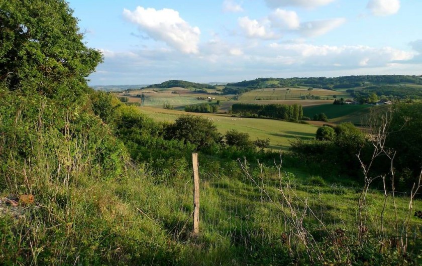 Location de vacances - Gîte à Grateloup-Saint-Gayrand