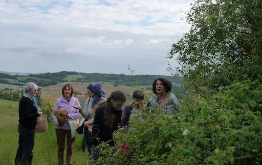 Location de vacances - Gîte à Grateloup-Saint-Gayrand
