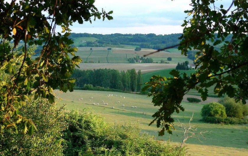 Location de vacances - Gîte à Grateloup-Saint-Gayrand