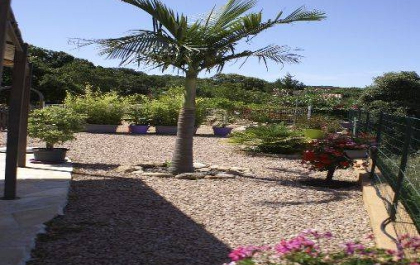 Location de vacances - Gîte à Portigliolo