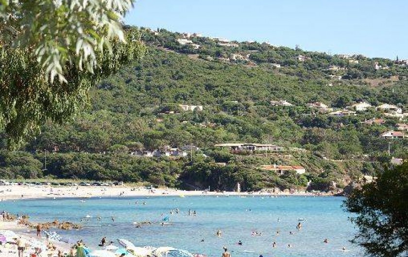 Location de vacances - Gîte à Portigliolo