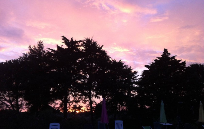 Location de vacances - Appartement à Cecina - Coucher de soleil près de la piscine
