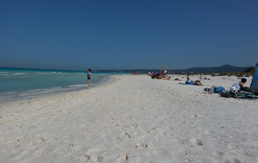 Location de vacances - Appartement à Cecina - la plage publique