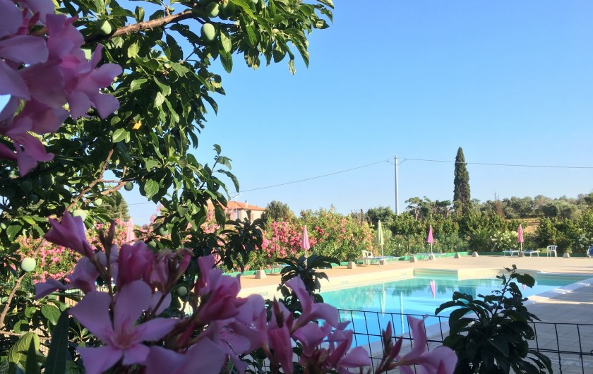 Location de vacances - Appartement à Cecina