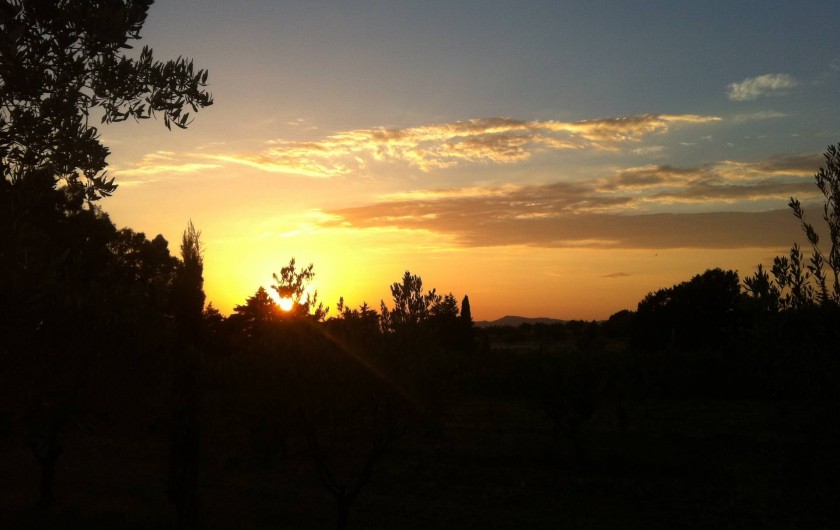 Location de vacances - Appartement à Cecina - Coucher de soleil pres de Civetta et Tasso