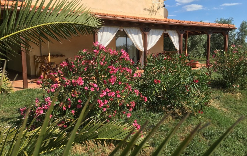 Location de vacances - Appartement à Cecina