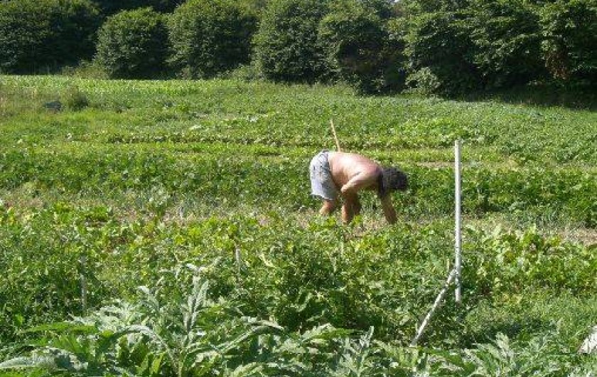 Location de vacances - Gîte à Maël-Carhaix