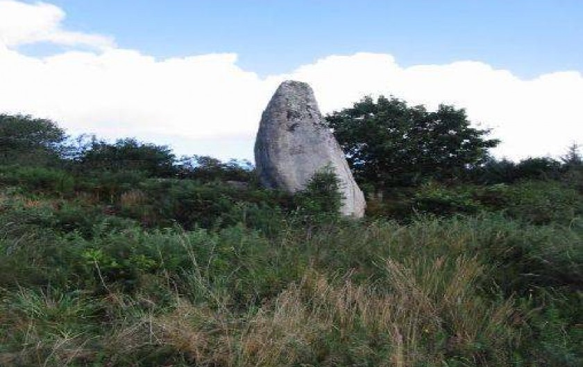 Location de vacances - Gîte à Maël-Carhaix