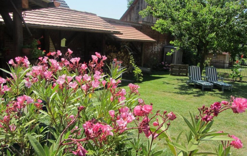 Location de vacances - Gîte à Brumath