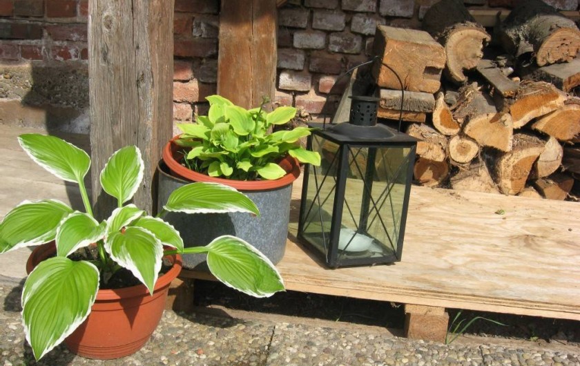 Location de vacances - Gîte à Brumath