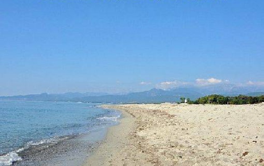 Location de vacances - Appartement à Ghisonaccia