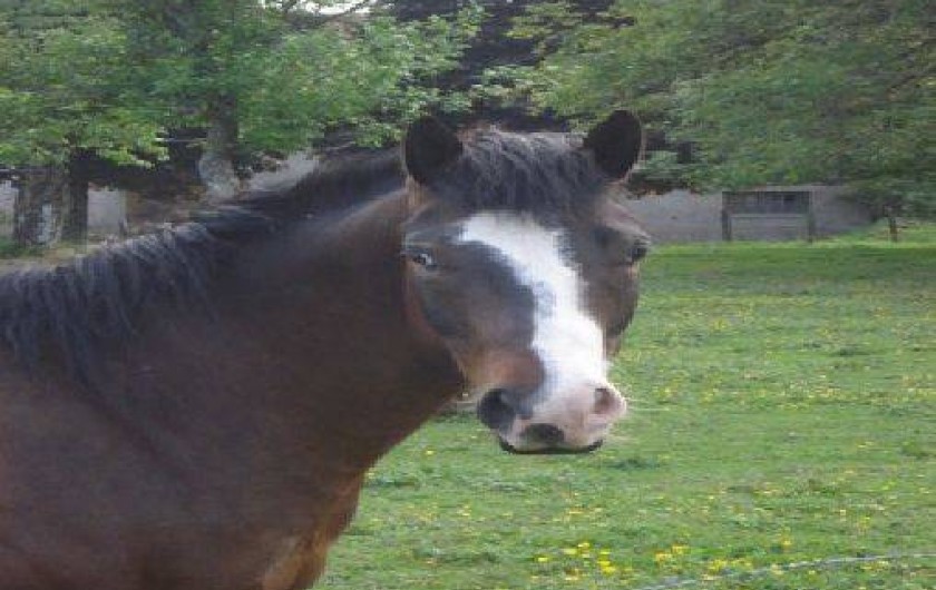 Location de vacances - Gîte à Esprels