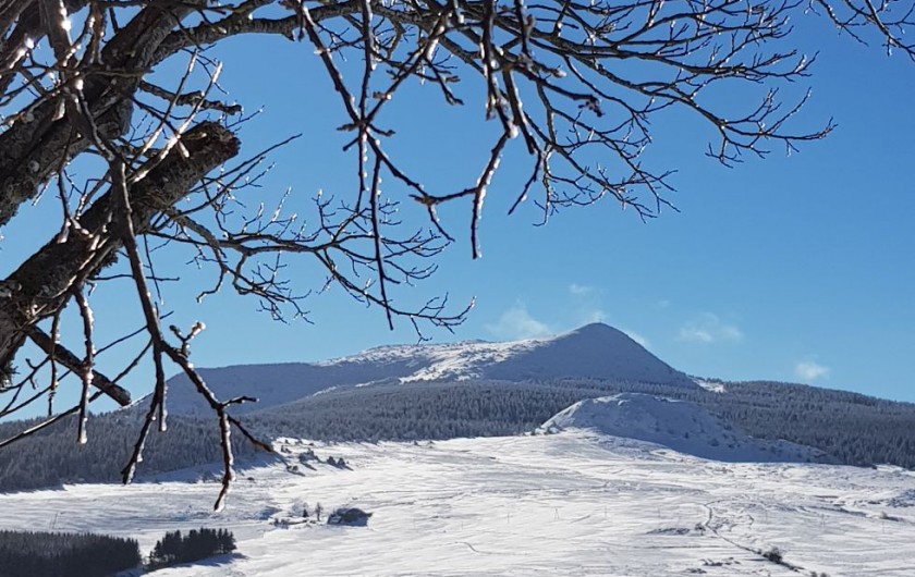 Location de vacances - Gîte à Le Chambon-sur-Lignon