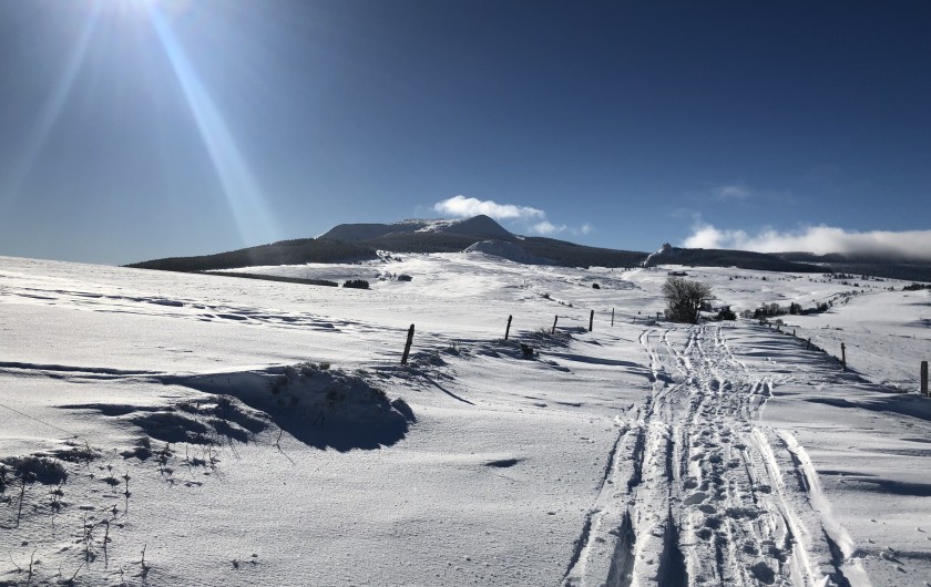 Location de vacances - Gîte à Le Chambon-sur-Lignon