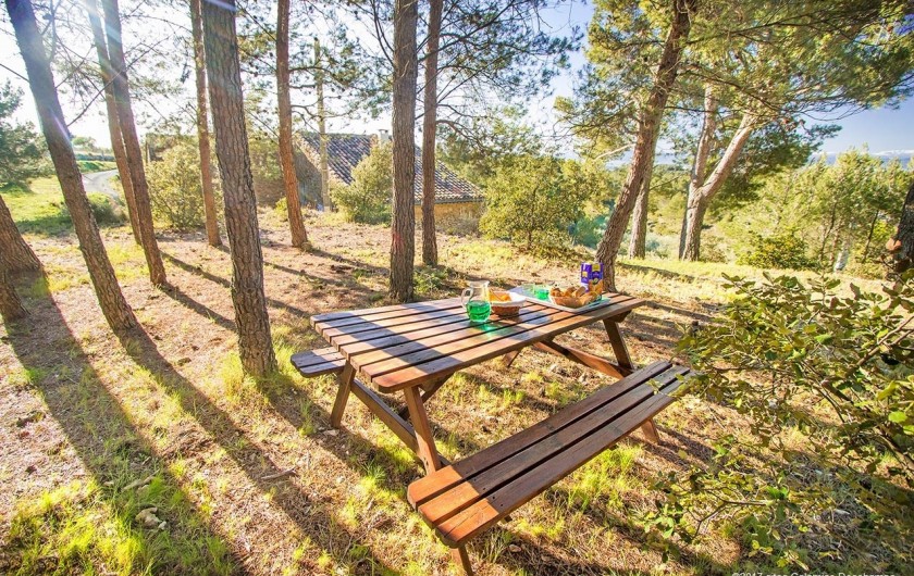 Location de vacances - Gîte à La Livinière - Goûter dans le bois de pin