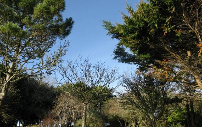 Location de vacances - Maison - Villa à Lostmarc'h