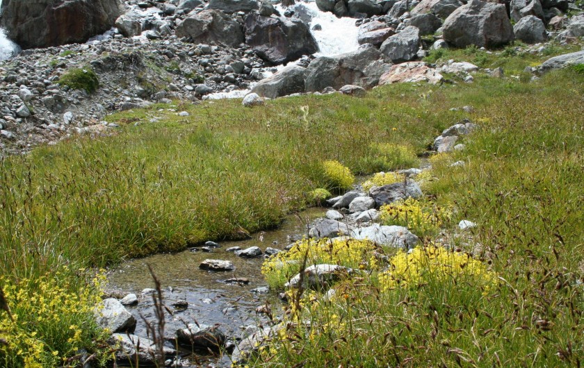 Location de vacances - Chalet à Mizoën - source du ferrant