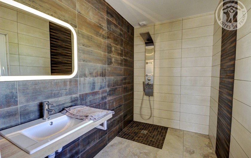 Location de vacances - Gîte à Pinay