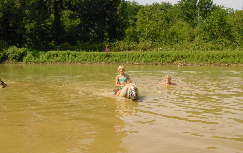 Location de vacances - Maison - Villa à Payrac - La baignade après un tour á cheval dans le lac du Colombié