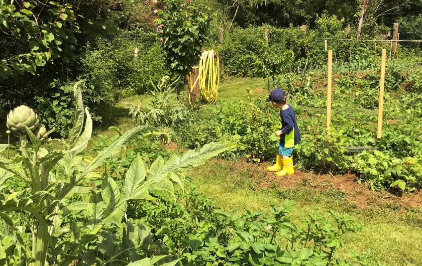 Location de vacances - Maison - Villa à Payrac - le potagé Bio du Colombé