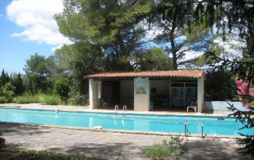 Location de vacances - Mas à Paradou - Piscine (18m*6m) et son Poule House, entièrement clôturé