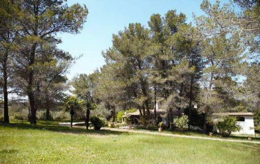 Location de vacances - Mas à Paradou - Grand prairie verdoyante côté Sud