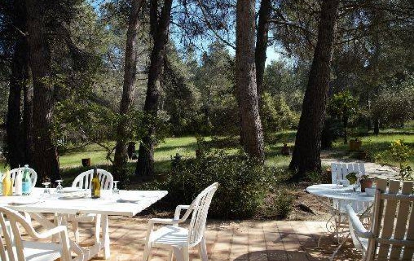 Location de vacances - Mas à Paradou - Terrasse côté Sud