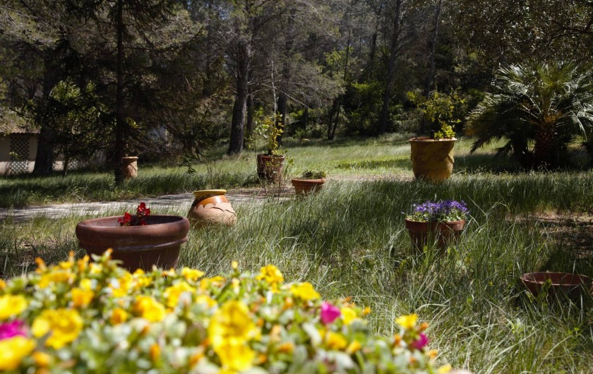 Location de vacances - Mas à Paradou