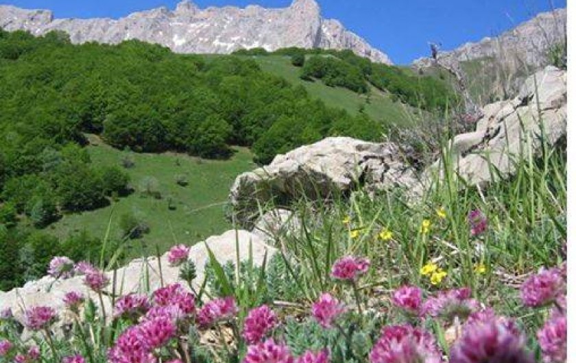 Location de vacances - Appartement à Superdévoluy