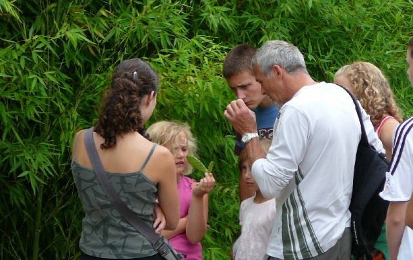 Location de vacances - Gîte à Montréal - balade