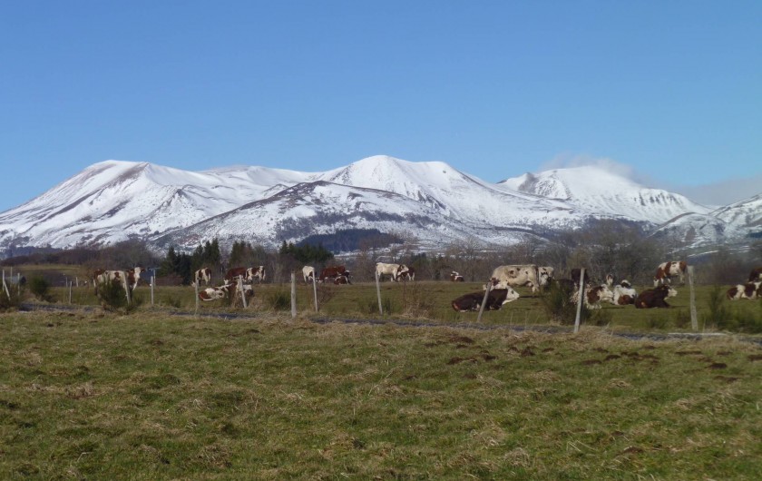Location de vacances - Maison - Villa à Saint-Victor-la-Rivière - Chaîne des Mont- Dore