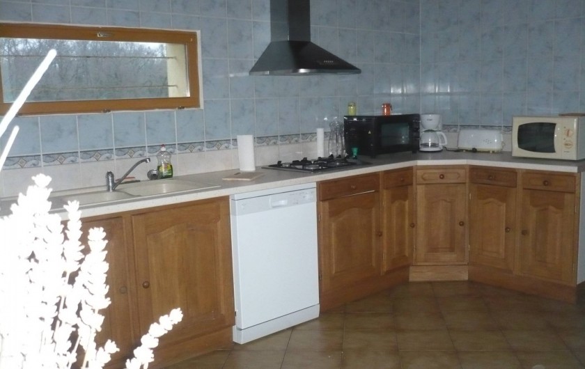 Location de vacances - Maison - Villa à Jau-Dignac-et-Loirac - cuisine vue sur parc et chevaux