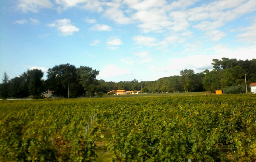 Location de vacances - Maison - Villa à Jau-Dignac-et-Loirac - implantation