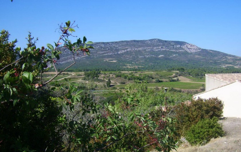 Location de vacances - Gîte à Ribaute - Quand la montagne d'Alaric veille sur le village.