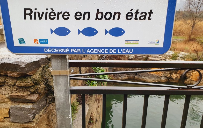 Location de vacances - Gîte à Ribaute - Baignade en rivière...