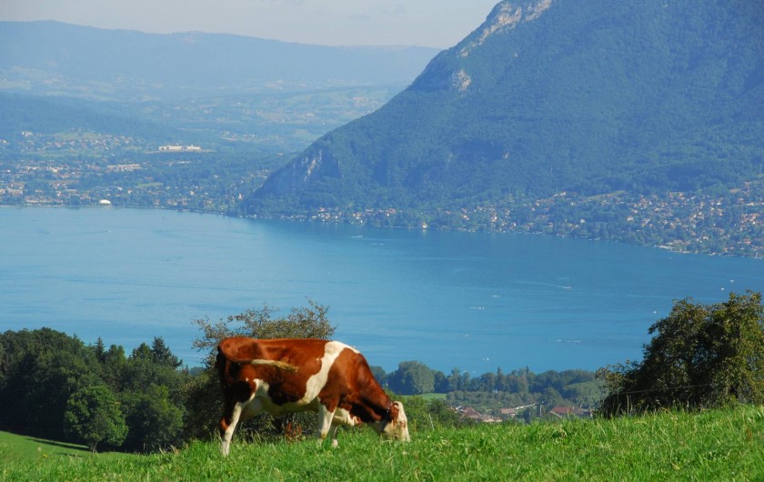 Location de vacances - Studio à Saint-Eustache